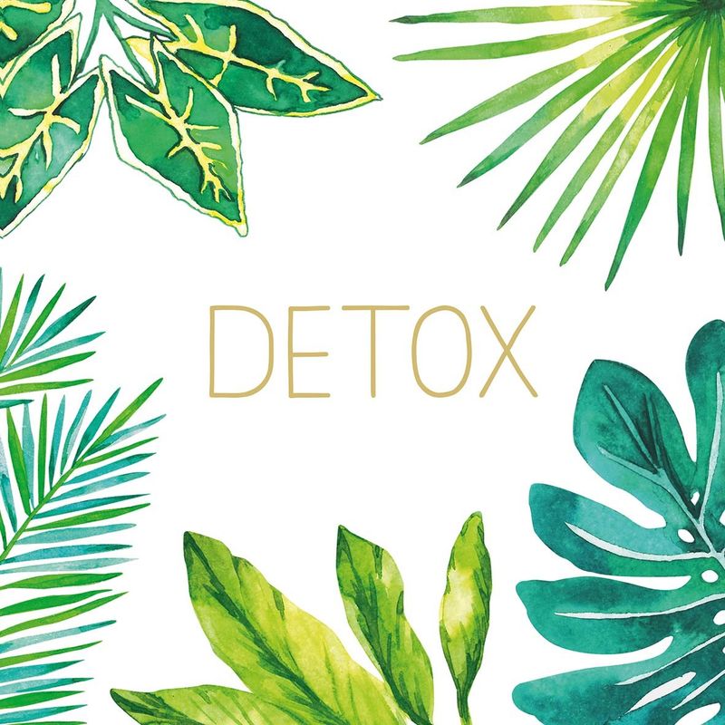 Middagsservietter Detox fra PPD 