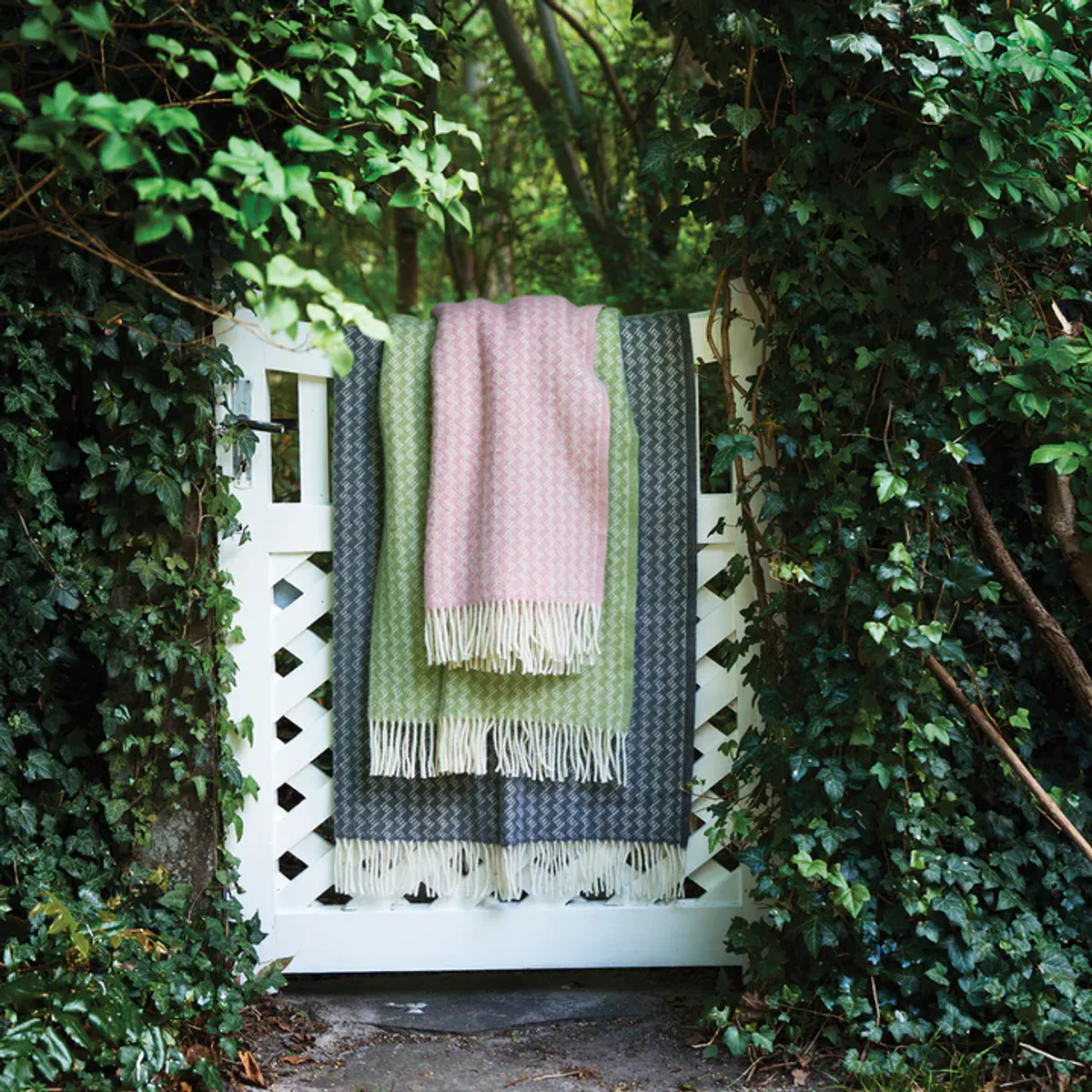 Pledd Palazzo, Rose garden i 100 % lammeull fra Klippan