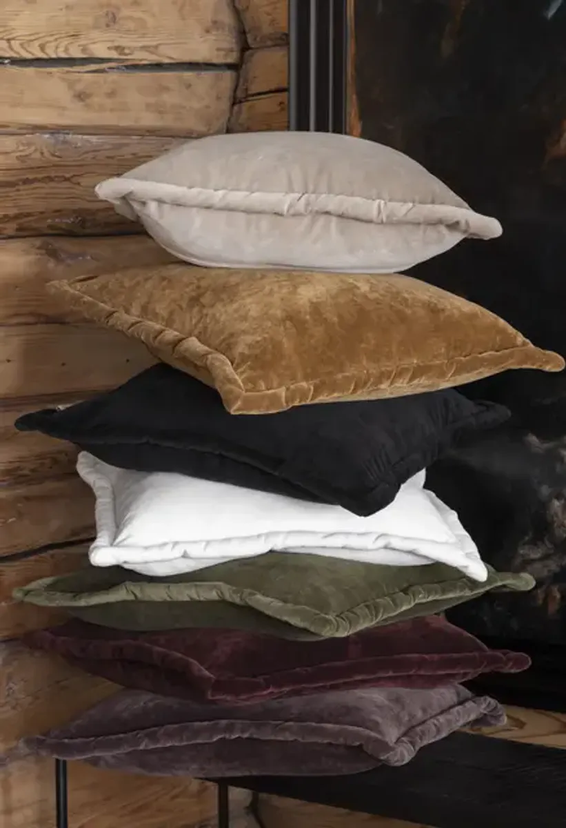 Lama Alpi putetrekk, Kamel