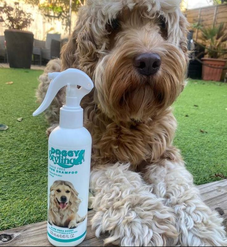 Rinse Free Dog Shampoo 250ml