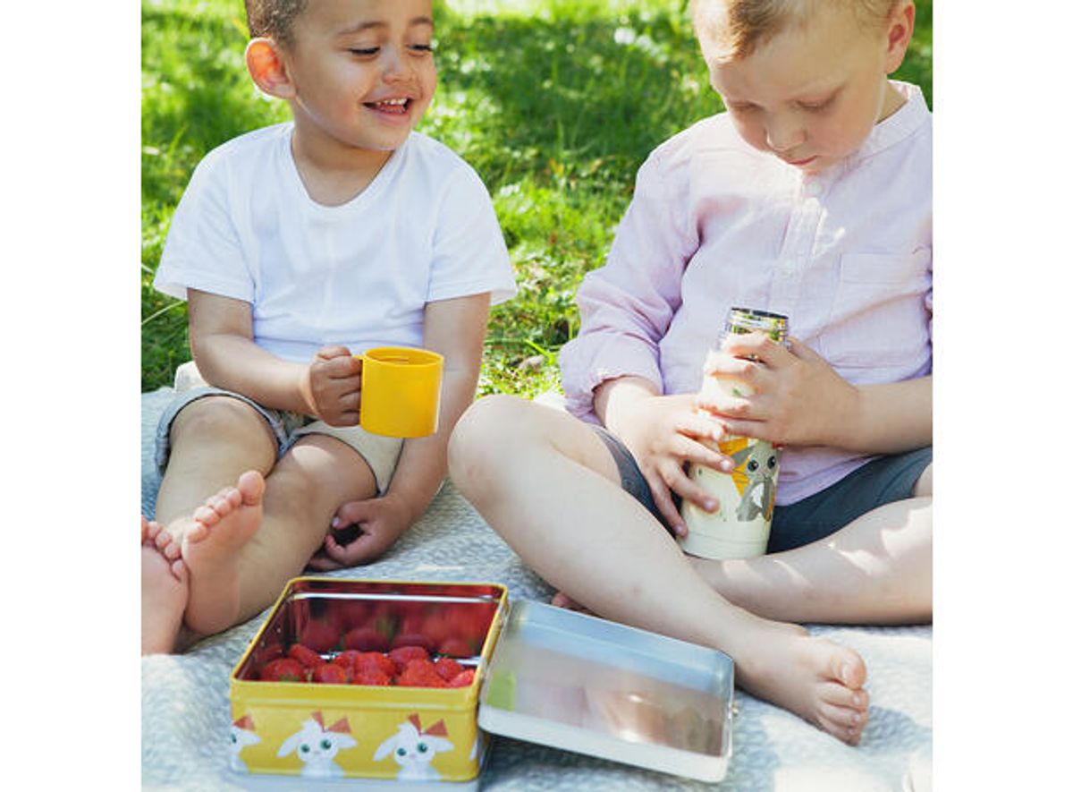 Blafre koffertboks - Kanin